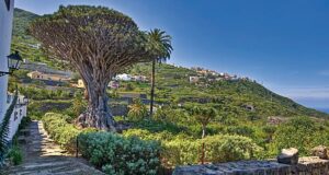 Tenerife